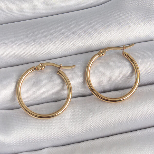 316 Çelik Gold Renk 22mm Halka Model Küpe