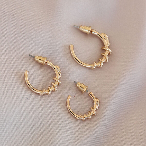 Gold Renk Yılan Model Metal Küpe Seti